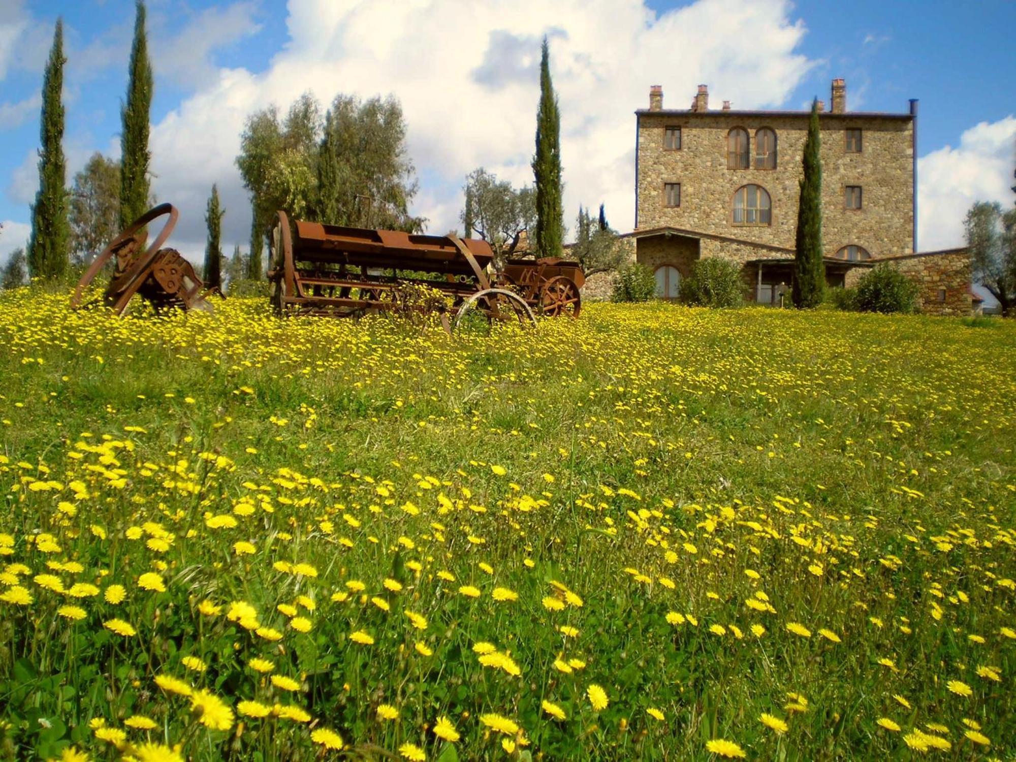Villa Il Convento Di Monte Pozzali Massa Marittima Exterior foto